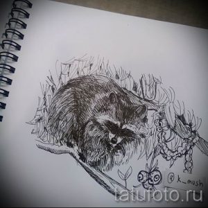 Фото тату енота, спящего в ветвях дерева, выполненное в технике графики. Детализированный и изящный эскиз татуировки.