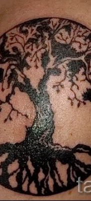 Тату дерево жизни фото для статьи про значение татуировки  8
