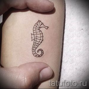 Тату морской конек - фото пример готовой тату для статьи про значение 49