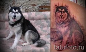 Тату хаски - фото пример готовой тату для статьи про значение 11