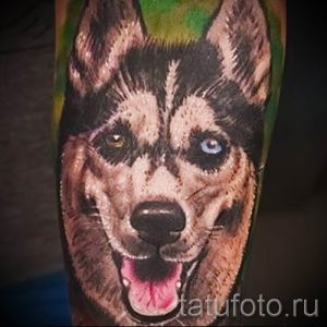 Тату хаски - фото пример готовой тату для статьи про значение 13
