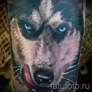 Тату хаски - фото пример готовой тату для статьи про значение 15