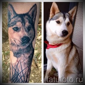 Тату хаски - фото пример готовой тату для статьи про значение 27