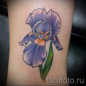 Фото пример тату ирис для статьи про значение татуировки с ирисом 23