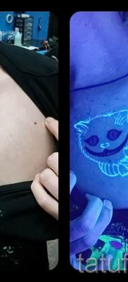 Фото тату Чеширский кот для статьи про значение рисунка татуировки — tatufoto.ru — 27