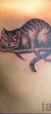 Фото тату Чеширский кот для статьи про значение рисунка татуировки — tatufoto.ru — 52