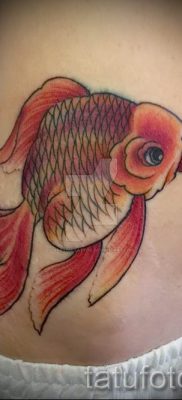 Фото тату золотая рыбка для статьи про значение рисунка татуировки — tatufoto.ru — 33