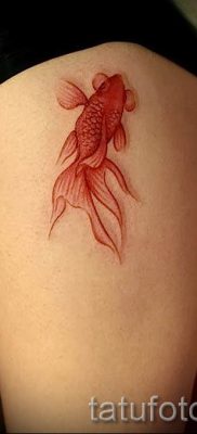 Фото тату золотая рыбка для статьи про значение рисунка татуировки — tatufoto.ru — 39