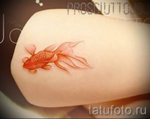 Фото тату золотая рыбка для статьи про значение рисунка татуировки - tatufoto.ru - 45