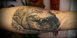 Фото тату крокодил для статьи про значение татуировки крокодил - tatufoto.ru - 32