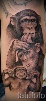 Фото тату обезьяна как пример для статьи про значение татуировки — tatufoto.ru — 35