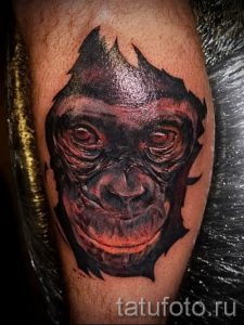 Фото тату обезьяна как пример для статьи про значение татуировки - tatufoto.ru - 43