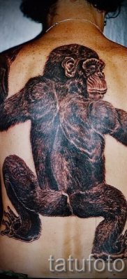 Фото тату обезьяна как пример для статьи про значение татуировки — tatufoto.ru — 48