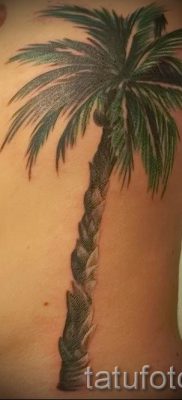 Фото тату пальма для статьи про значение татуировки пальма — tatufoto.ru — 3