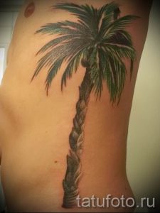 Фото тату пальма для статьи про значение татуировки пальма - tatufoto.ru - 3