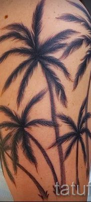 Фото тату пальма для статьи про значение татуировки пальма — tatufoto.ru — 9