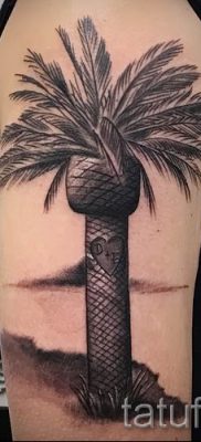 Фото тату пальма для статьи про значение татуировки пальма — tatufoto.ru — 13
