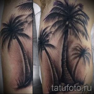 Фото тату пальма для статьи про значение татуировки пальма - tatufoto.ru - 16