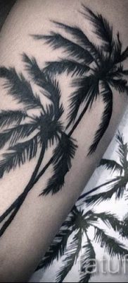 Фото тату пальма для статьи про значение татуировки пальма — tatufoto.ru — 17