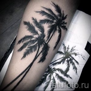 Фото тату пальма для статьи про значение татуировки пальма - tatufoto.ru - 17