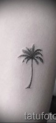 Фото тату пальма для статьи про значение татуировки пальма — tatufoto.ru — 19