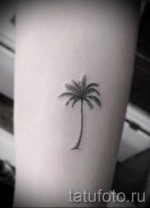 Фото тату пальма для статьи про значение татуировки пальма - tatufoto.ru - 19