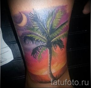 Фото тату пальма для статьи про значение татуировки пальма - tatufoto.ru - 23