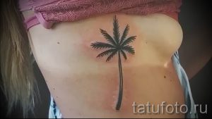 Фото тату пальма для статьи про значение татуировки пальма - tatufoto.ru - 26