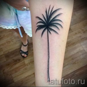 Фото тату пальма для статьи про значение татуировки пальма - tatufoto.ru - 32