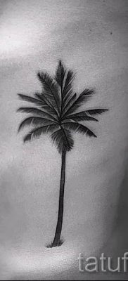 Фото тату пальма для статьи про значение татуировки пальма — tatufoto.ru — 44