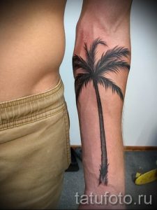 Фото тату пальма для статьи про значение татуировки пальма - tatufoto.ru - 50