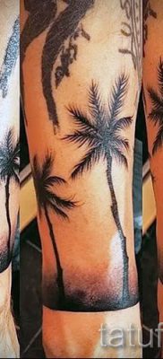 Фото тату пальма для статьи про значение татуировки пальма — tatufoto.ru — 52