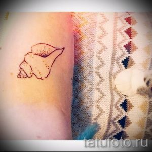 Фото тату ракушка для статьи про значение ракушки в татуировке - tatufoto.ru - 3