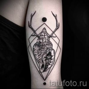 Фото тату ракушка для статьи про значение ракушки в татуировке - tatufoto.ru - 12