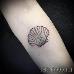 Фото тату ракушка для статьи про значение ракушки в татуировке - tatufoto.ru - 14