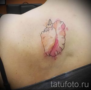 Фото тату ракушка для статьи про значение ракушки в татуировке - tatufoto.ru - 18