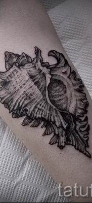 Фото тату ракушка для статьи про значение ракушки в татуировке — tatufoto.ru — 20