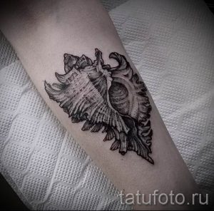 Фото тату ракушка для статьи про значение ракушки в татуировке - tatufoto.ru - 20