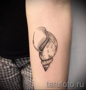 Фото тату ракушка для статьи про значение ракушки в татуировке - tatufoto.ru - 22