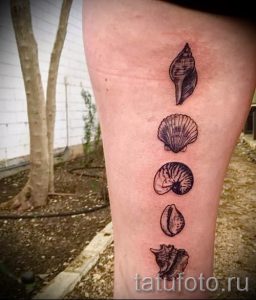Фото тату ракушка для статьи про значение ракушки в татуировке - tatufoto.ru - 24