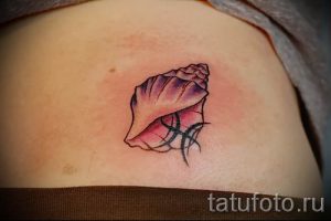 Фото тату ракушка для статьи про значение ракушки в татуировке - tatufoto.ru - 25