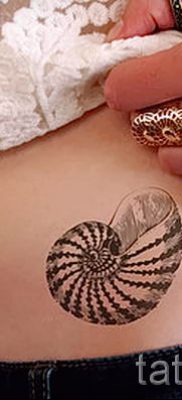 Фото тату ракушка для статьи про значение ракушки в татуировке — tatufoto.ru — 26
