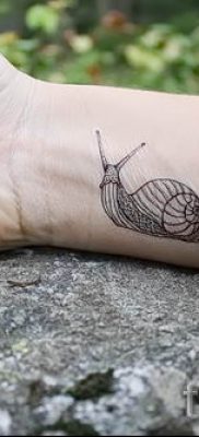 Фото тату ракушка для статьи про значение ракушки в татуировке — tatufoto.ru — 27