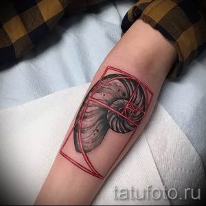 Фото тату ракушка для статьи про значение ракушки в татуировке - tatufoto.ru - 28