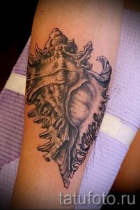 Фото тату ракушка для статьи про значение ракушки в татуировке - tatufoto.ru - 41