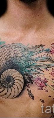 Фото тату ракушка для статьи про значение ракушки в татуировке — tatufoto.ru — 45