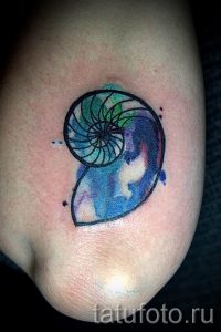 Фото тату ракушка для статьи про значение ракушки в татуировке - tatufoto.ru - 46