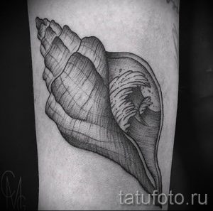 Фото тату ракушка для статьи про значение ракушки в татуировке - tatufoto.ru - 50