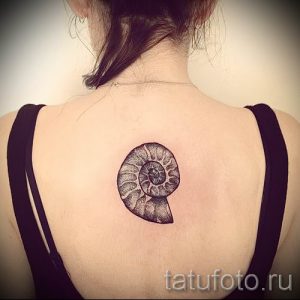Фото тату ракушка для статьи про значение ракушки в татуировке - tatufoto.ru - 52