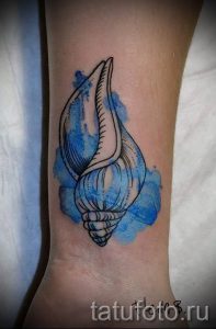Фото тату ракушка для статьи про значение ракушки в татуировке - tatufoto.ru - 56